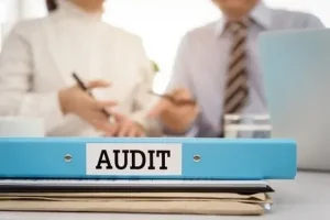 How Can Audit Services Help Improve Your Financial Transparency?